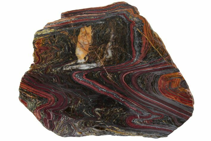 Polished Tiger Iron Stromatolite Slab - Billion Years #221796